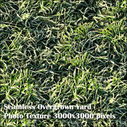 Eight Seamless Photo Textures of Grass and Yard 3000x3000 pixels - Weather-Damaged-Grass