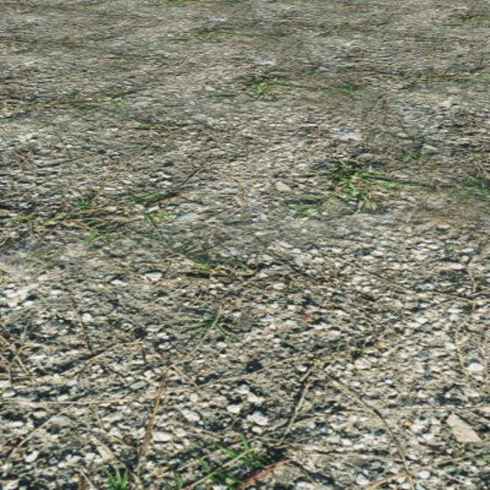 Picture of Seamless Dirt and Grass - 3000x2000