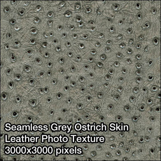Picture of Seamless Leather Photo Textures - 3000x3000 pixels - Grey-Ostrich-Leather