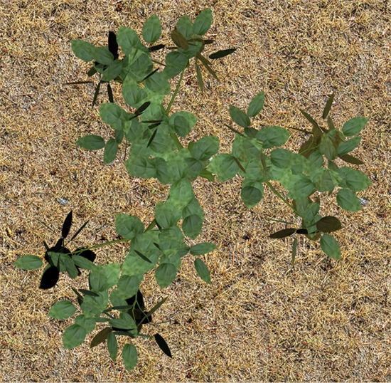Picture of Small Green Plant Model