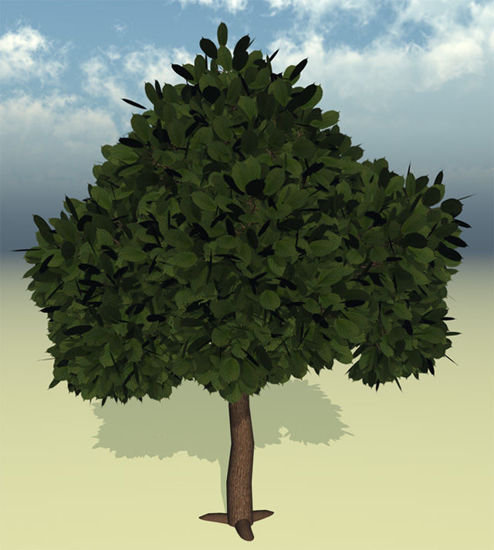 Picture of Ornamental Cherry Tree Model