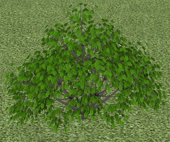 Picture of Ground Cover Plant Model 1 - Poser and DAZ Studio Format