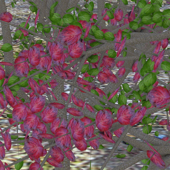 Picture of Red and Green Dogwood Tree Models - Poser and DAZ Studio Format