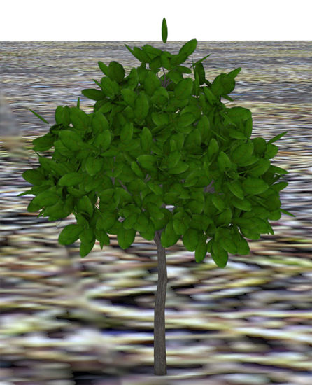 Picture of Landscaping Bush Plant Model 3 - Poser and DAZ Studio Format