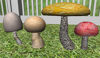 Picture of Mushroom Plant Models