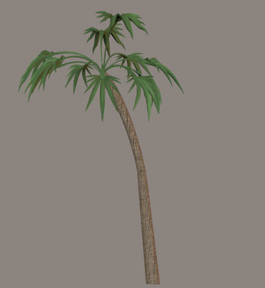 Picture of Palm Tree Plant Prop