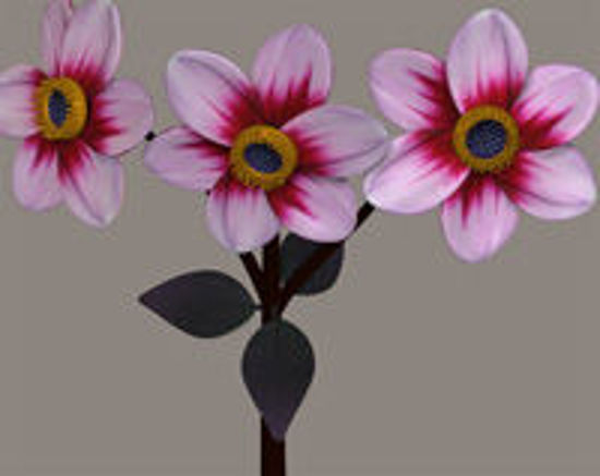 Picture of Pink Dahlia Plant Model