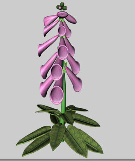 Picture of Foxglove Plant Model