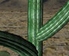 Picture of Cactus Plant Models