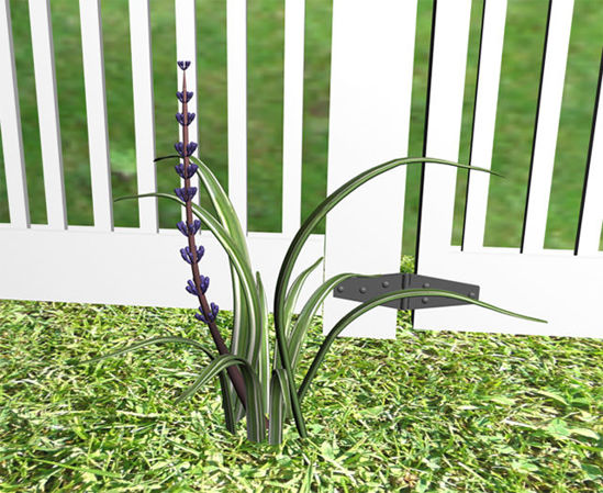 Picture of Monkey Grass Plant Model