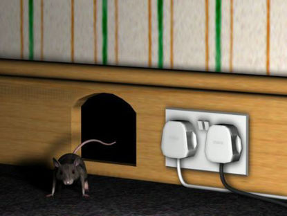 Picture of Mouse hole