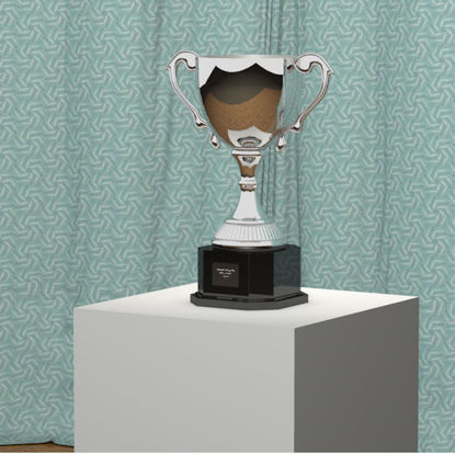 Picture of Trophy Model
