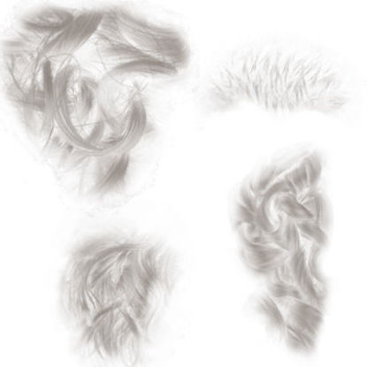 Picture of Poser World Hair Brushes 2