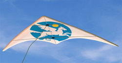 Pegasus Kite Toy Model with Flying Morph