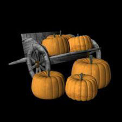 Picture of Pumpkins and Hand cart