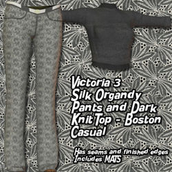 Victoria 3 Silk Organdy Pants and Dark Knit Top