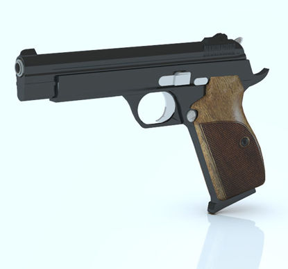 Picture of Sig Sauer P210 Pistol Weapon Model - Poser / DAZ Studio Format