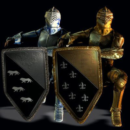 Picture of Knight Shield