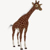 Reticulated giraffe sub-species character from "Giraffa" for Poser Software