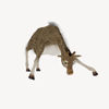 Kordofan giraffe sub-species character from "Giraffa" for Poser Software
