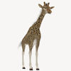 Massai giraffe sub-species character from "Giraffa" for Poser Software