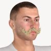 Imperial Mustache M4 Beard (and mustache) for Poser 3D Software and DAZ 3D Studio