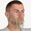 Shaggy and Burly M4 Beard (and mustache) for Poser 3D Software and DAZ 3D Studio