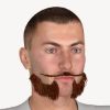 Pencil and Mutton Chop M4 Beard (and mustache) for Poser 3D Software and DAZ 3D Studio